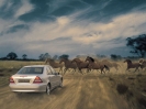 Mercedes C-class W203