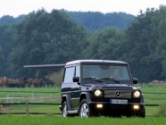 Mercedes G class Coupe