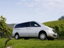 Mercedes Viano