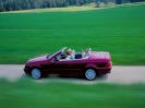 Mercedes CLK Cabriolet A208