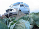 Mercedes Vito Combi